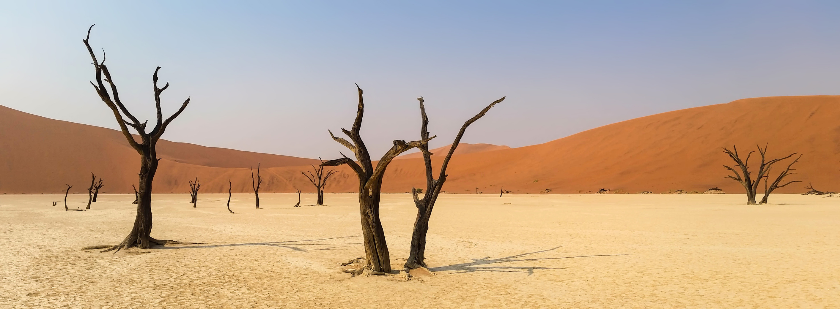 Desert in Namibia